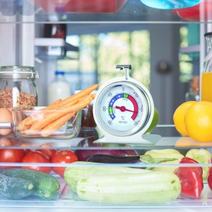 Termometro per frigorifero e congelatore in acciaio inox ARW 800-923